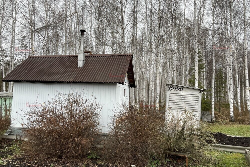 д. Большое Седельниково, с/т Металлург (городской округ Сысертский) - фото сада (5)