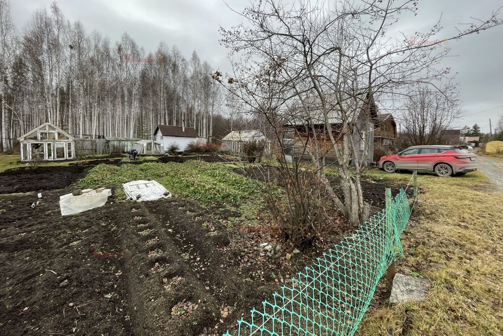 д. Большое Седельниково, с/т Металлург (городской округ Сысертский) - фото сада (6)