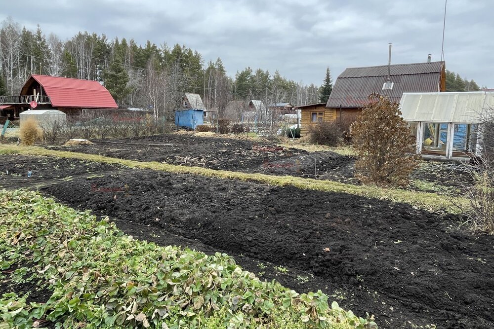 д. Большое Седельниково, с/т Металлург (городской округ Сысертский) - фото сада (7)