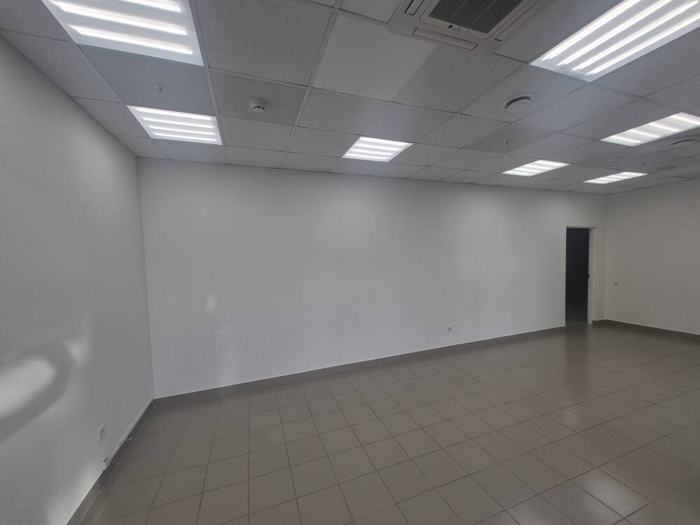 Екатеринбург, ул. Малышева, 51 (Центр) - фото офисного помещения (3)