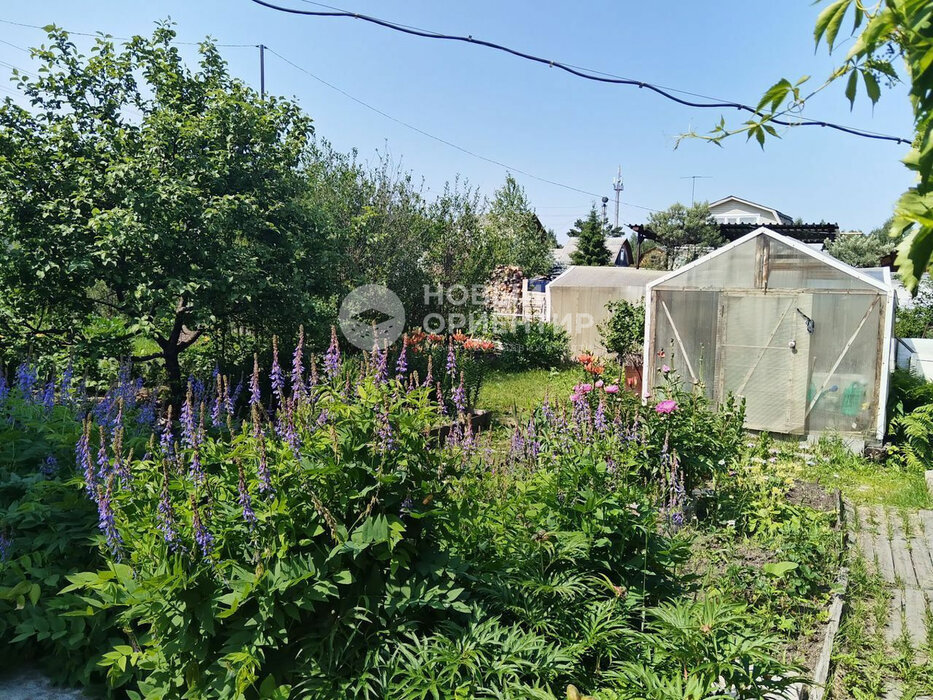 Екатеринбург, СТ Визовец-7 (Медный) - фото сада (3)