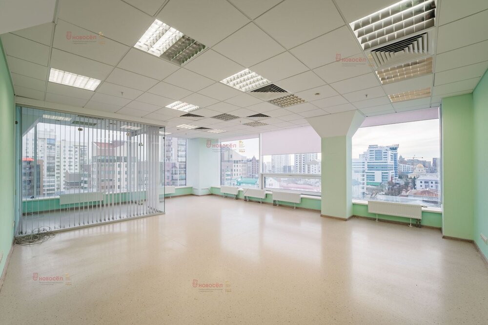 Екатеринбург, ул. Розы Люксембург, 22 (Центр) - фото офисного помещения (4)