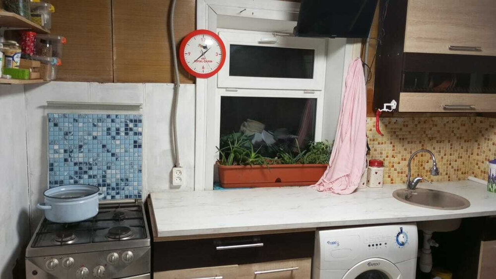 пгт. Верхнее Дуброво, к/с Озерный (городской округ Верхнее Дуброво) - фото сада (3)