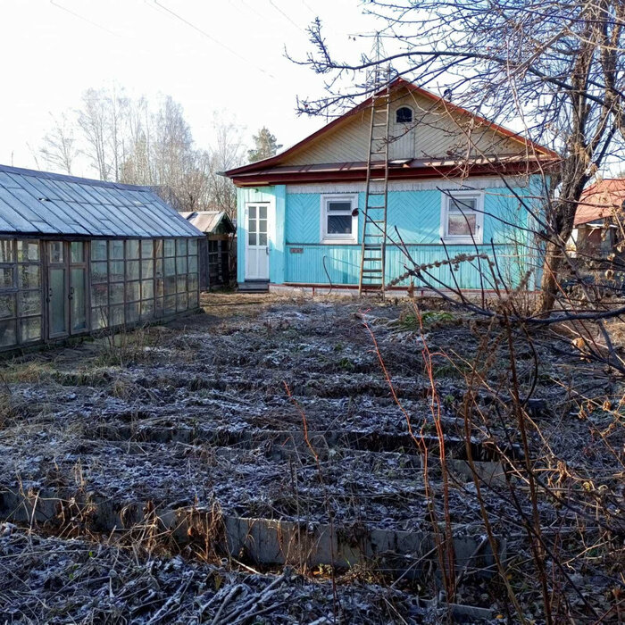 пгт. Верхнее Дуброво, к/с Озерный (городской округ Верхнее Дуброво) - фото сада (6)