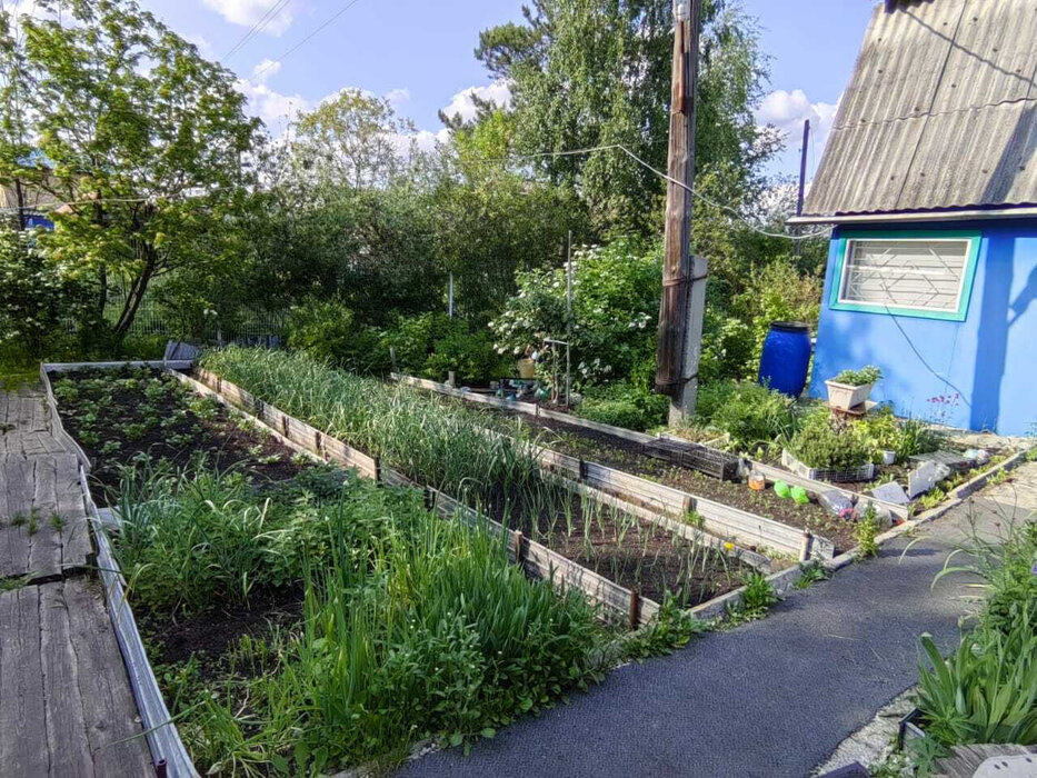 Екатеринбург, К/С Ручеек - фото сада (3)