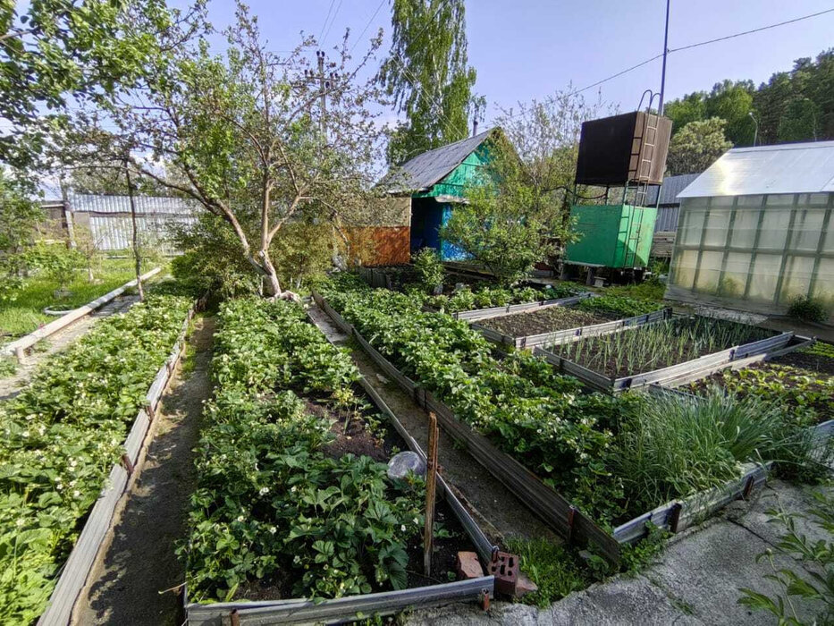 Екатеринбург, К/С Ручеек - фото сада (6)