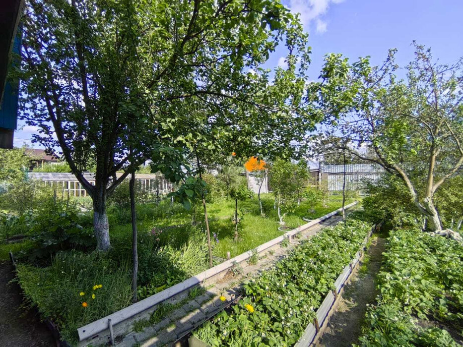 Екатеринбург, К/С Ручеек - фото сада (7)