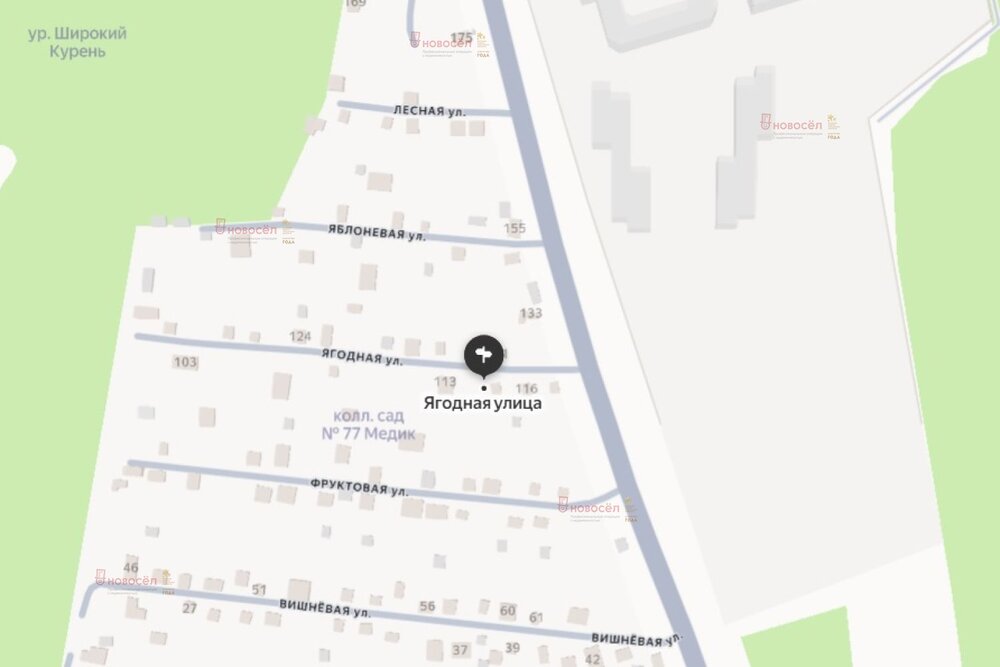 г. Березовский, коллективный сад № 77 Медик (городской округ Березовский) - фото сада (4)