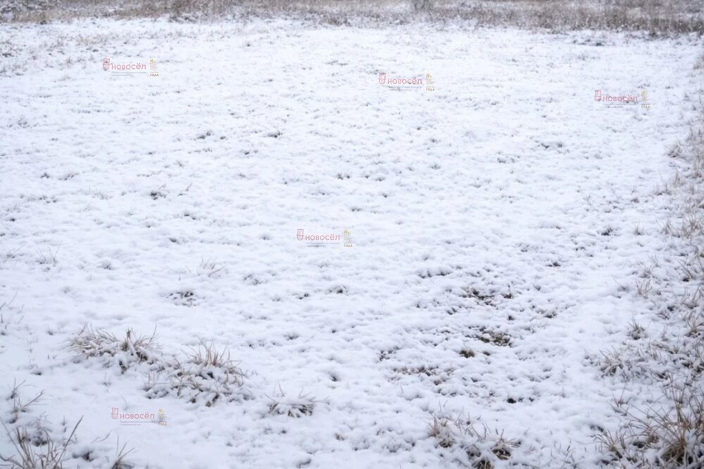 г. Березовский, коллективный сад № 77 Медик (городской округ Березовский) - фото сада (5)