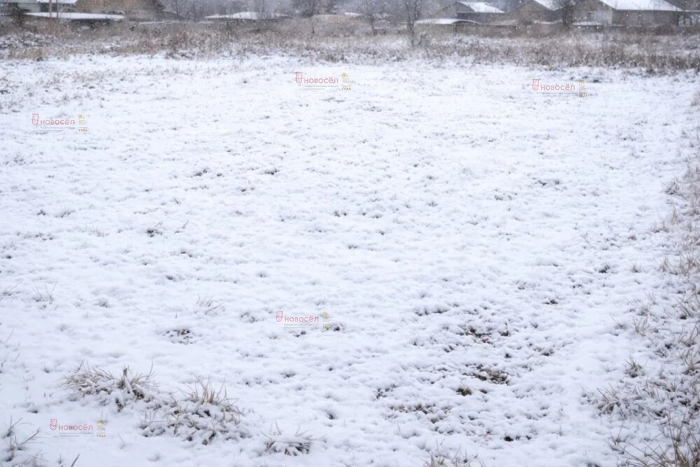 г. Березовский, коллективный сад № 77 Медик (городской округ Березовский) - фото сада (6)