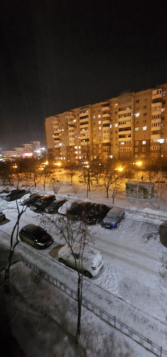 Екатеринбург, ул. Академика Шварца, 10 корпус 3 (Ботанический) - фото квартиры (1)