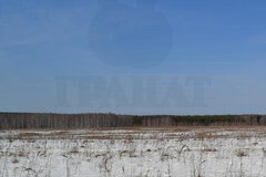 поселок городского типа Белоярский, ул.  Белый Яр (городской округ Белоярский) - фото земельного участка