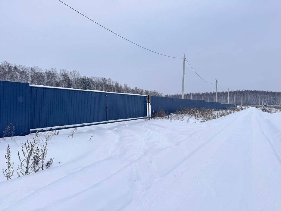 п. Прохладный, ул. Промышленной район территории Прохладный (городской округ Белоярский) - фото земельного участка (5)