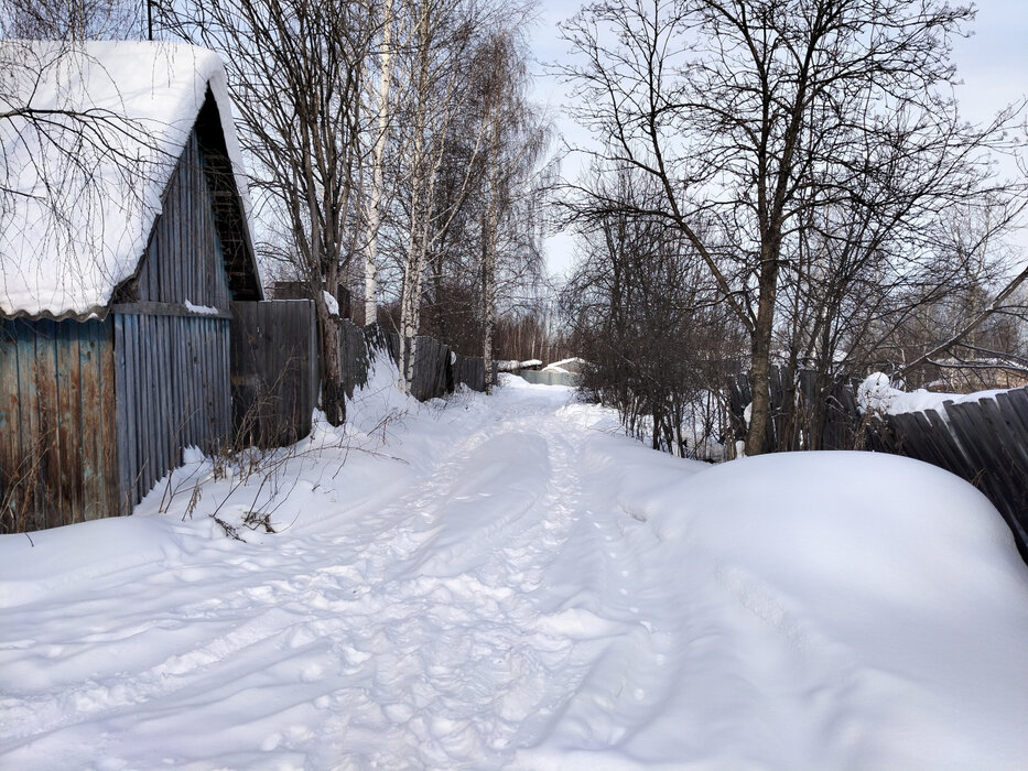 г. Березовский, сад Дружба (городской округ Березовский) - фото сада (2)