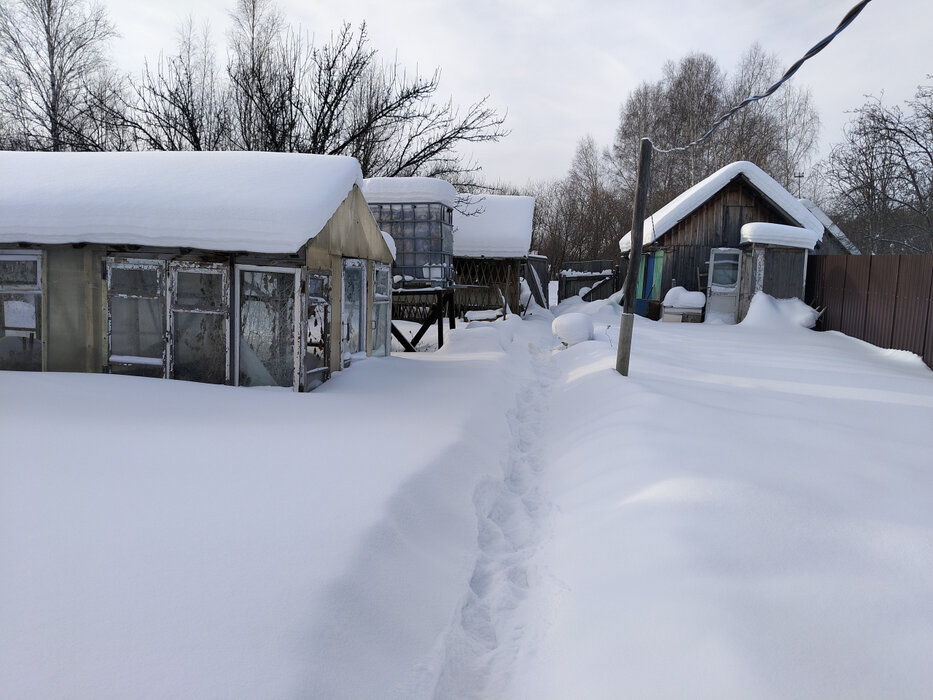 г. Березовский, сад Дружба (городской округ Березовский) - фото сада (5)