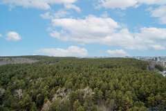 Екатеринбург, ул. Прониной, 43 (Уктус) - фото квартиры