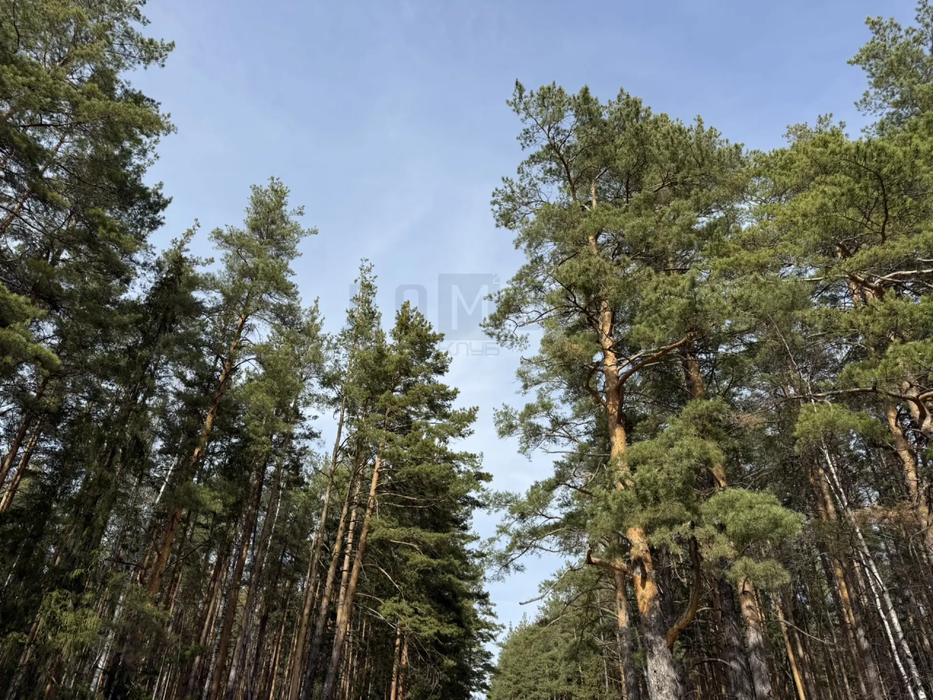 к.п. Мурзинка, ул. Малахитовая, 5 (городской округ Среднеуральск) - фото земельного участка (10)