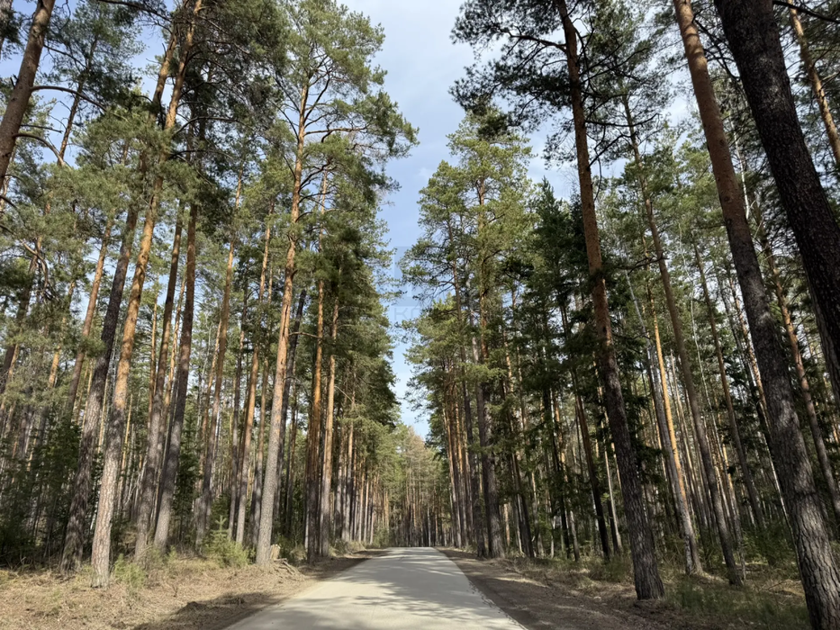 к.п. Мурзинка, ул. Малахитовая, 5 (городской округ Среднеуральск) - фото земельного участка (2)