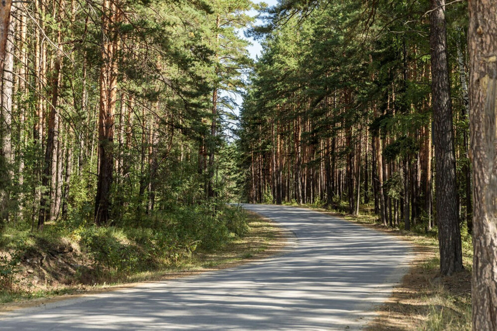 к.п. Мурзинка, ул. Малахитовая, 5 (городской округ Среднеуральск) - фото земельного участка (8)