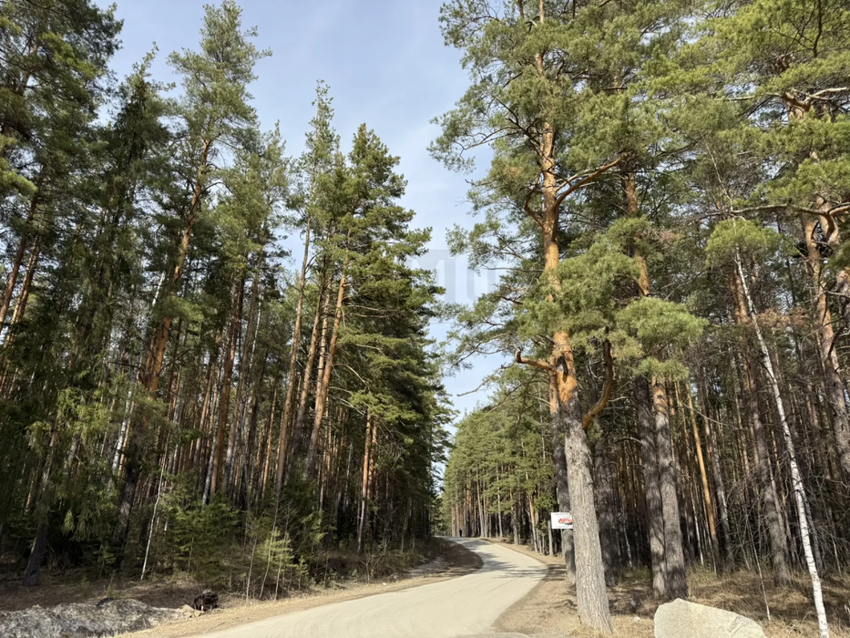 к.п. Мурзинка, ул. Малахитовая, 5 (городской округ Среднеуральск) - фото земельного участка (8)