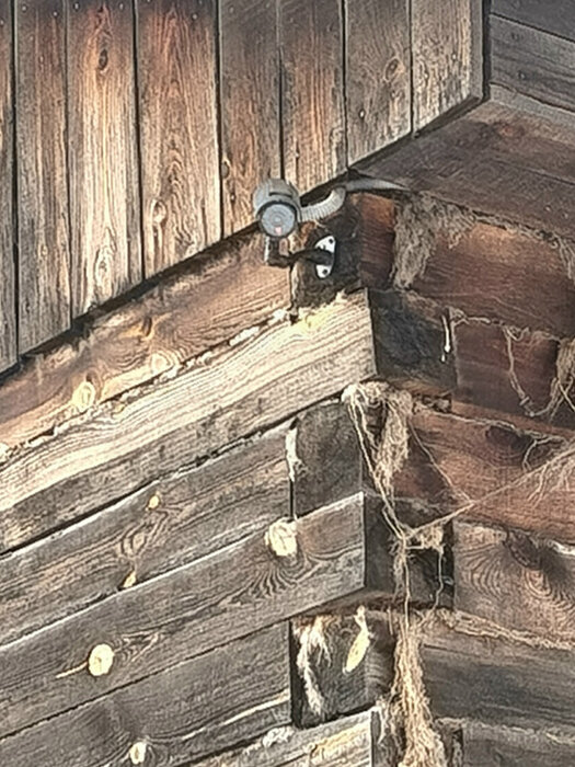 г. Первоуральск, коллективный сад № 29 (городской округ Первоуральск) - фото сада (3)