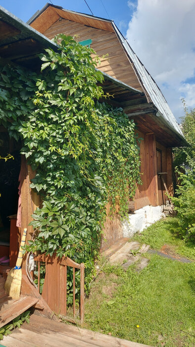 г. Заречный, СНТ Восход, л.8 (городской округ Заречный) - фото сада (2)