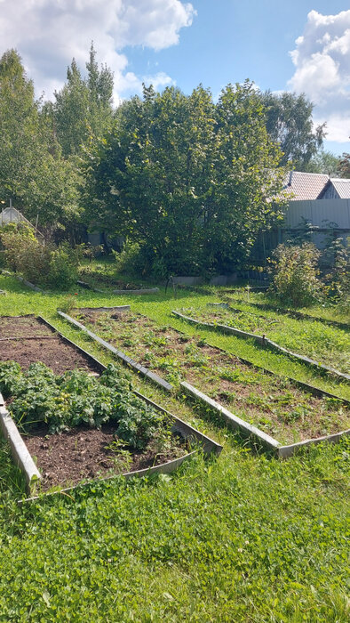 г. Заречный, СНТ Восход, л.8 (городской округ Заречный) - фото сада (4)