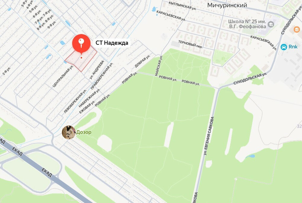 Екатеринбург, снт. Надежда (Широкая речка) - фото сада (1)