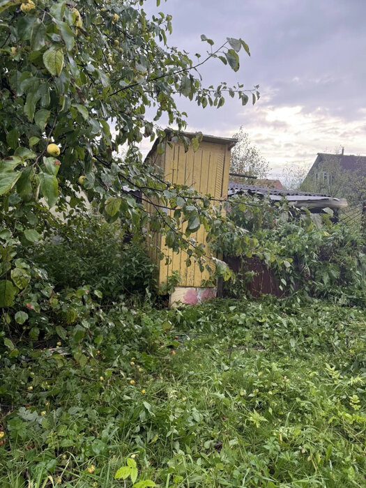 Екатеринбург, снт. Надежда, ул. снт 