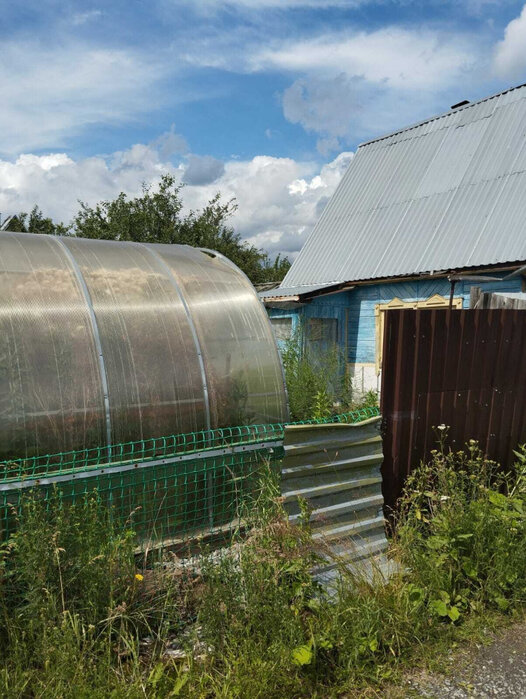 Екатеринбург, снт. Надежда (Широкая речка) - фото сада (4)