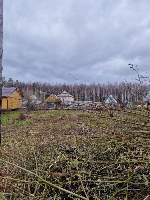 Екатеринбург, коллективный сад № 26, уч. 87 (Уралмаш) - фото сада (2)