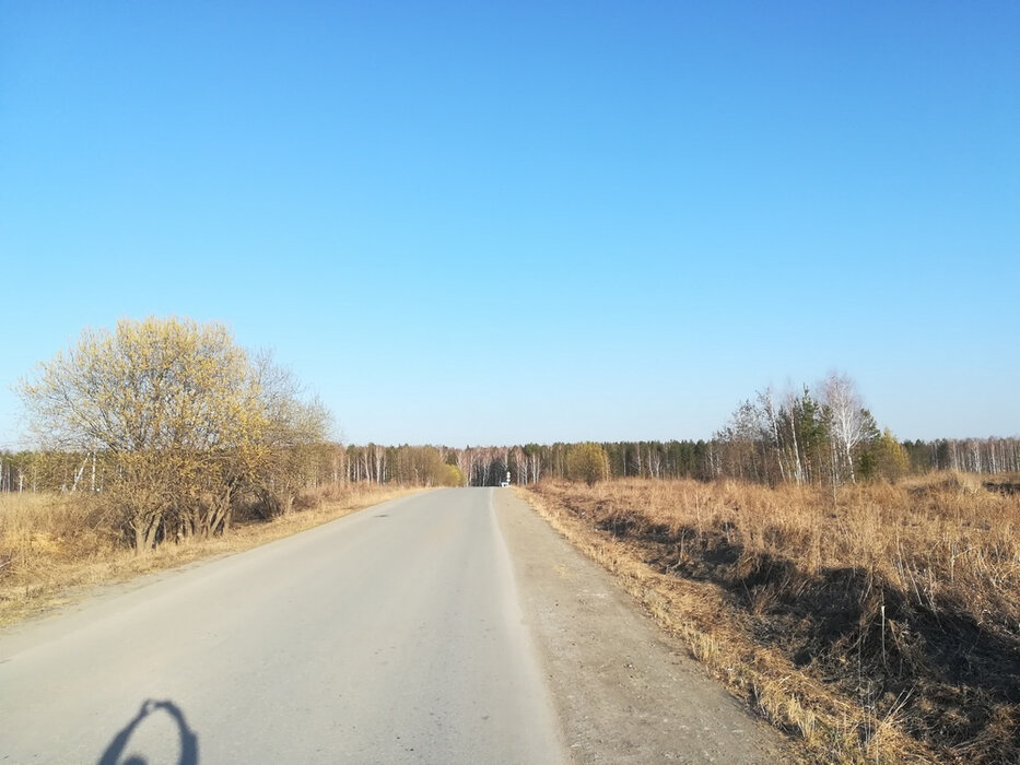 Екатеринбург, ул. Дроздовая (Исток) - фото земельного участка (6)