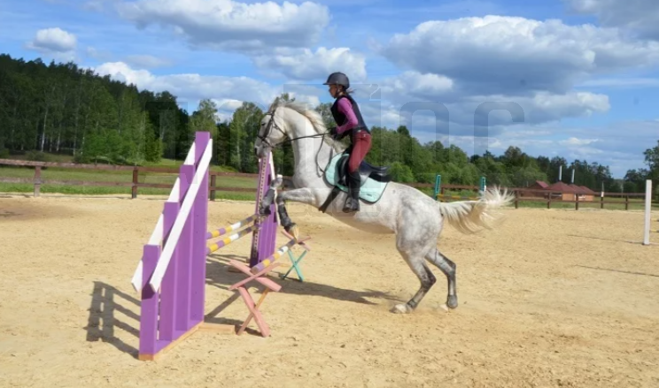 к.п. Семейные традиции (городской округ Первоуральск, п. Хрустальная) - фото земельного участка (3)