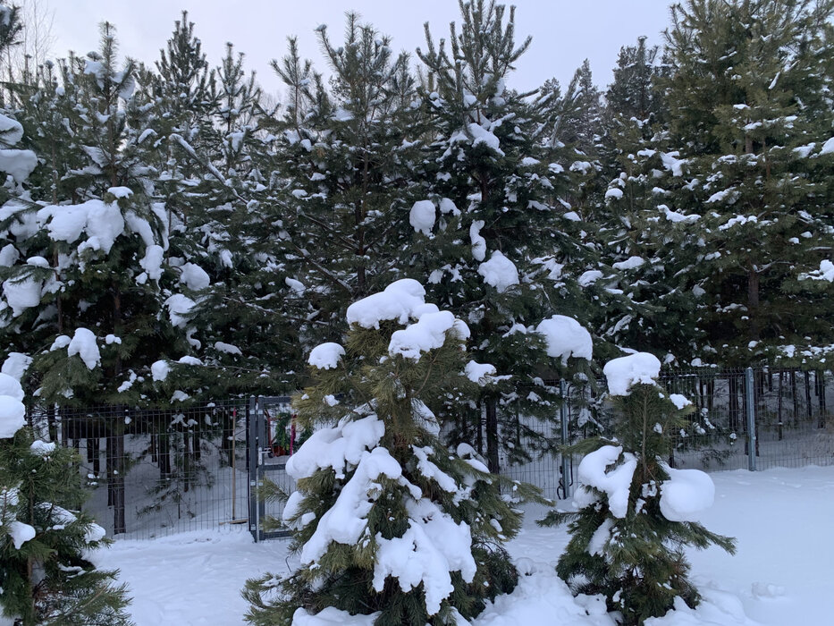 Екатеринбург, ул. Макаровский-1 (Горный щит) - фото земельного участка (5)