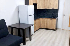 Екатеринбург, ул. Евгения Савкова, 23 (Широкая речка) - фото квартиры