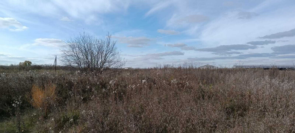 с. Черемхово, ул. 8 Марта (городской округ Город Каменск-Уральский) - фото земельного участка (1)