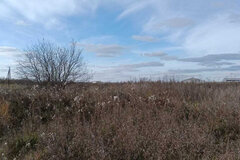 с. Черемхово, ул. 8 Марта (городской округ Город Каменск-Уральский) - фото земельного участка