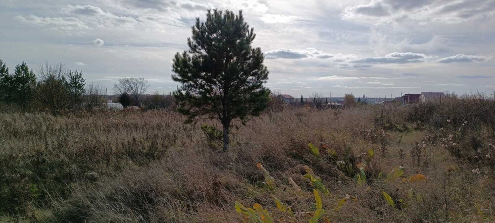 с. Черемхово, ул. 8 Марта (городской округ Город Каменск-Уральский) - фото земельного участка (4)
