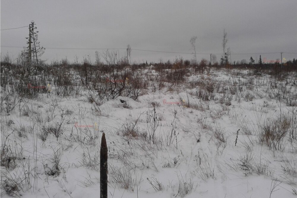 с. Кунгурка (городской округ Ревда) - фото земельного участка (3)