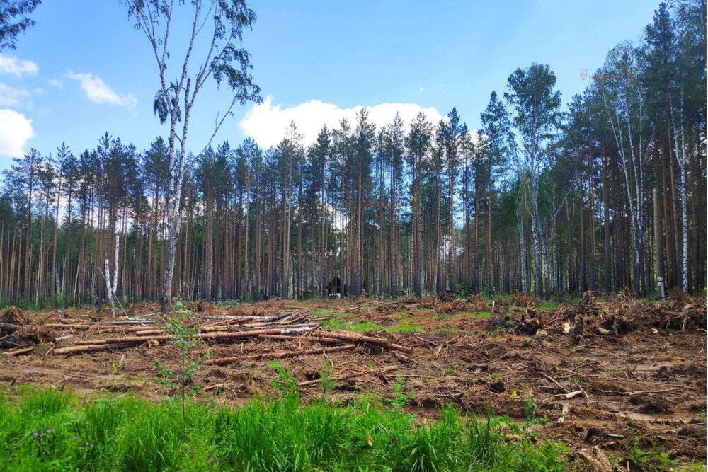 с. Кунгурка (городской округ Ревда) - фото земельного участка (4)