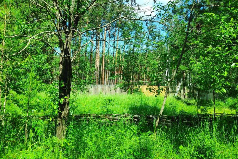 с. Кунгурка (городской округ Ревда) - фото земельного участка (6)