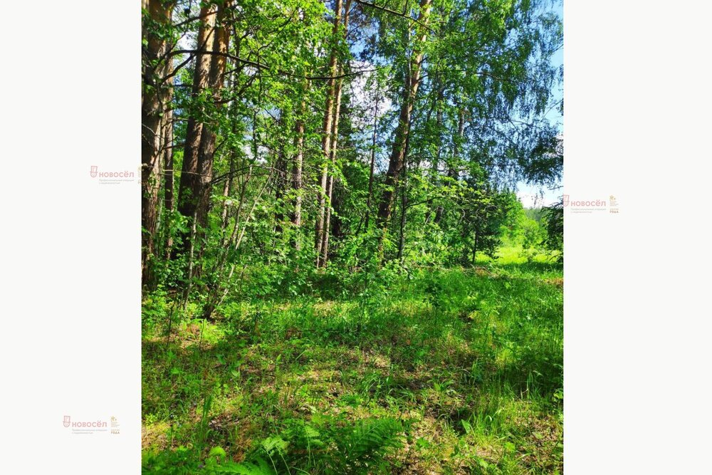 с. Кунгурка (городской округ Ревда) - фото земельного участка (7)