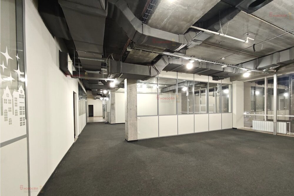 Екатеринбург, ул. Шейнкмана, 123 (Центр) - фото офисного помещения (1)