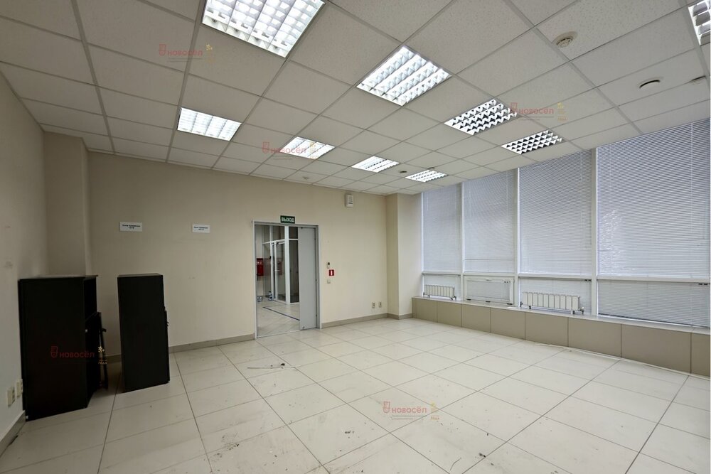 Екатеринбург, ул. Шейнкмана, 123 (Центр) - фото офисного помещения (1)