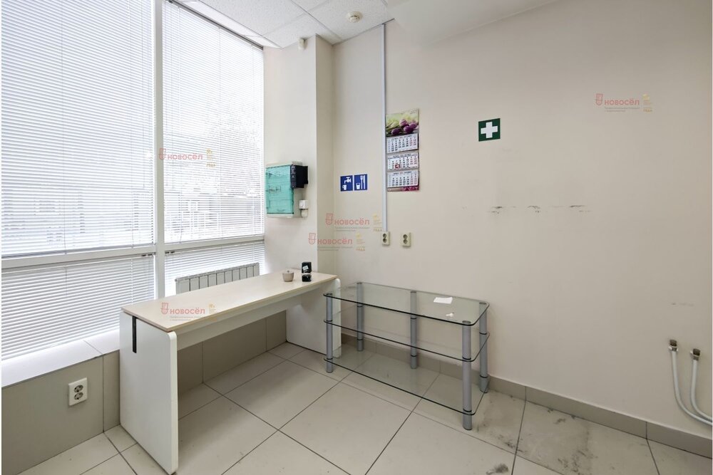 Екатеринбург, ул. Шейнкмана, 123 (Центр) - фото офисного помещения (6)