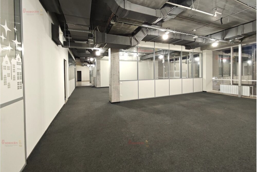 Екатеринбург, ул. Шейнкмана, 123 (Центр) - фото офисного помещения (6)