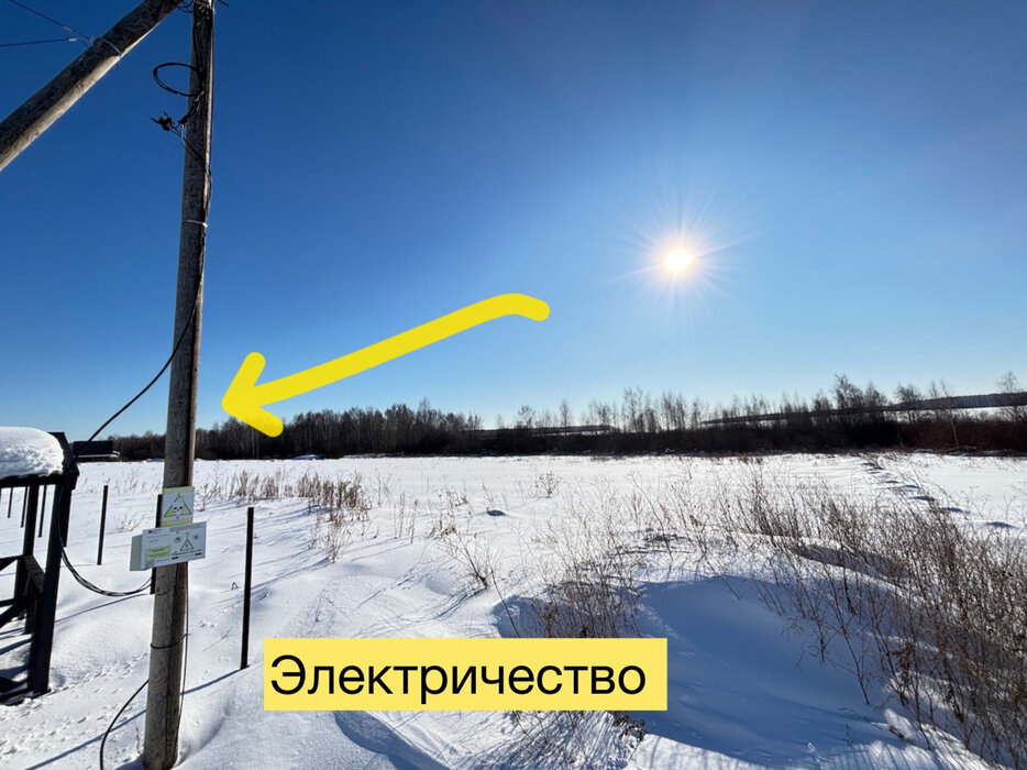 д. Гусева, ул. Петровская, 45 (городской округ Белоярский) - фото земельного участка (5)