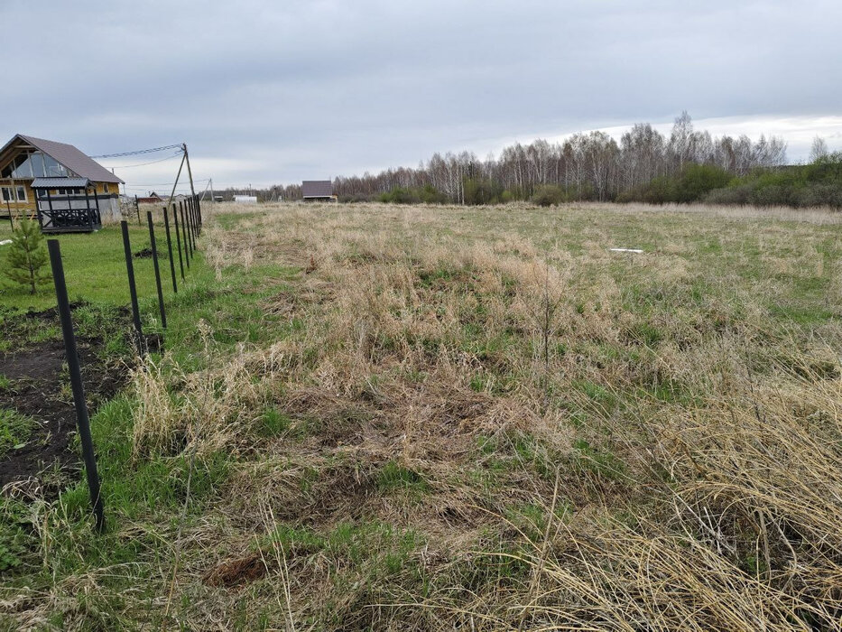 д. Гусева, ул. Петровская, 45 (городской округ Белоярский) - фото земельного участка (6)