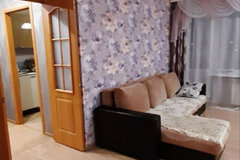 Екатеринбург, ул. Седова, 23 (Новая Сортировка) - фото квартиры