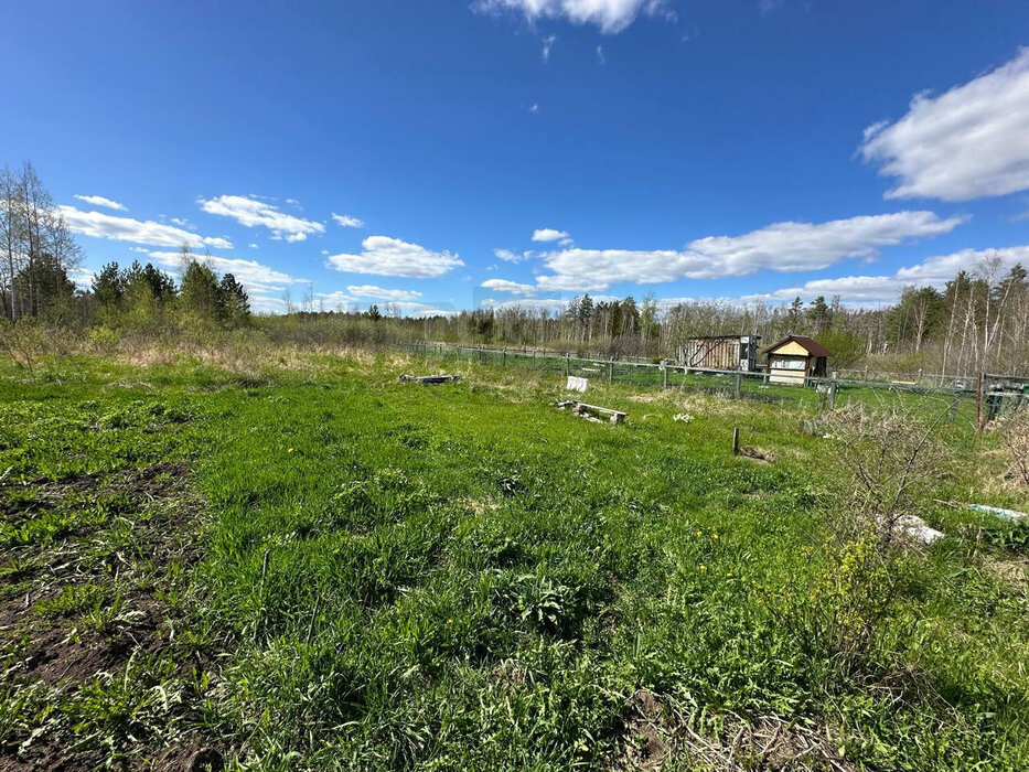 Екатеринбург, садоводческое товарищество «Патра», уч. Nº42 (Верхнемакарово) - фото сада (3)